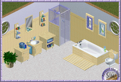 Around the Sims