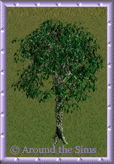 forest_tree10.gif