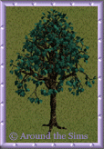 forest_tree11.gif