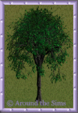 forest_tree12.gif