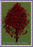 forest_tree14.gif