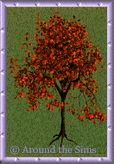 forest_tree15.gif