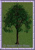 forest_tree16.gif