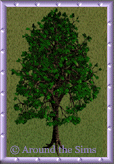 forest_tree18.gif