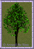 forest_tree7.gif