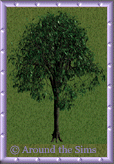 forest_tree8.gif