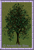 forest_tree9.gif