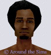 http://sims1.aroundthesims3.com/skins/man/img/face_dark003_223.gif