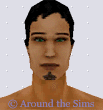 http://sims1.aroundthesims3.com/skins/man/img/face_medium005_c224.gif